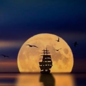 Meet your Posher, Caiden